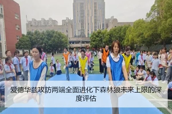 爱德华兹攻防两端全面进化下森林狼未来上限的深度评估