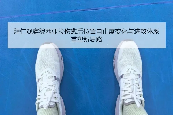 拜仁观察穆西亚拉伤愈后位置自由度变化与进攻体系重塑新思路 - leyu