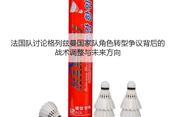 法国队讨论格列兹曼国家队角色转型争议背后的战术调整与未来方向