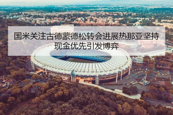 国米关注古德蒙德松转会进展热那亚坚持现金优先引发博弈 - leyu