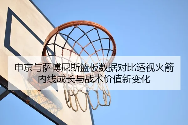 申京与萨博尼斯篮板数据对比透视火箭内线成长与战术价值新变化 - leyu